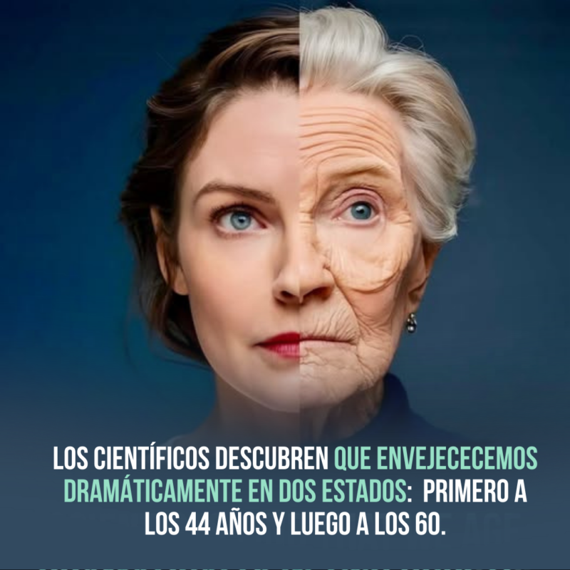 Fototerapia